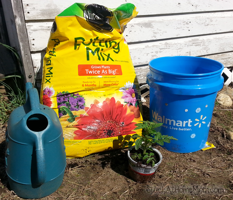 How to Bucket Garden Container Gardening for Beginners stuckathomemom